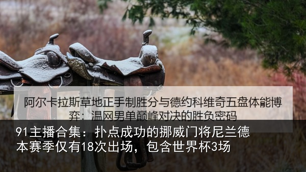 91主播合集：扑点成功的挪威门将尼兰德本赛季仅有18次出场，包含世界杯3场