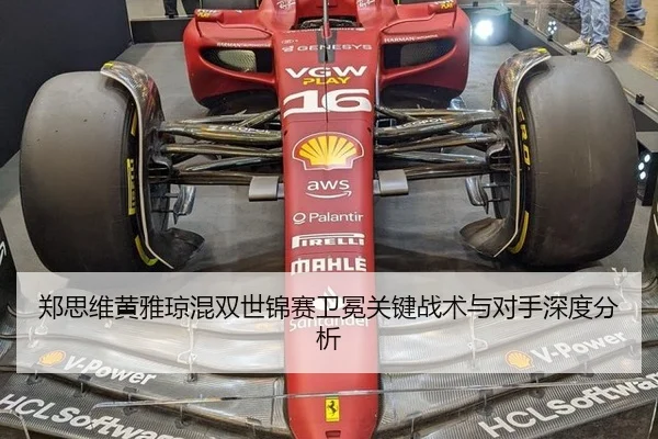 zheng-si-wei-huang-ya-qiong-hun-shuang-shi-jin-sai-wei-mian-guan-jian-zhan-shu-yu-dui-shou-shen-du-fen-xi-3-360.jpg